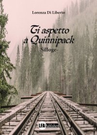 Immagine copertina libro Ti aspetto a Quinnipack