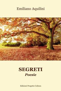 Immagine copertina libro Segreti
