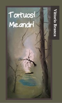 Immagine copertina libro Tortuosi meandri