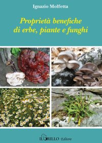 Immagine copertina libro Proprietà benefiche di erbe, piante e funghi