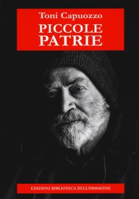 Immagine copertina libro Piccole patrie