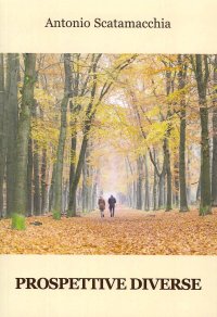 Immagine copertina libro Prospettive diverse