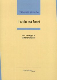 Immagine copertina libro Il cielo sta fuori