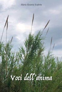 Immagine copertina libro Voci dell'anima
