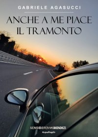 Immagine copertina libro Anche a me piace il tramonto