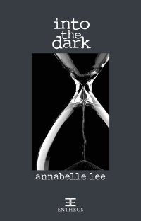 Immagine copertina libro Into the dark
