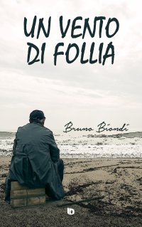 Immagine copertina libro Un vento di follia