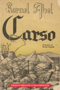 Immagine copertina libro Carso