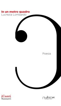 Immagine copertina libro In un metro quadro