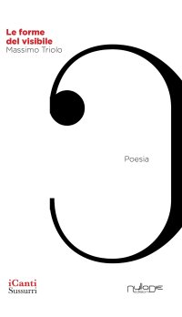 Immagine copertina libro Le forme del visibile