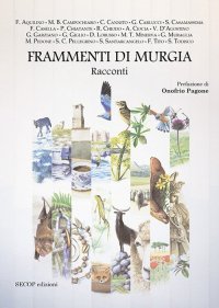 Immagine copertina libro Frammenti di Murgia. Ediz. illustrata