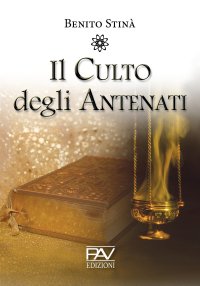 Immagine copertina libro Il culto degli antenati