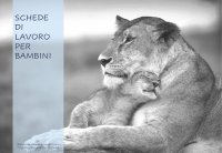 Immagine copertina libro Schede di lavoro per bambini