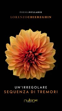 Immagine copertina libro Un'irregolare sequenza di tremori