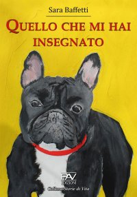 Immagine copertina libro Quello che mi hai insegnato