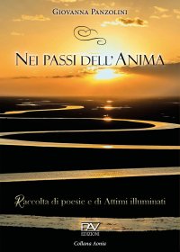 Immagine copertina libro Nei passi dell'anima. Raccolta di poesie e di attimi illuminati