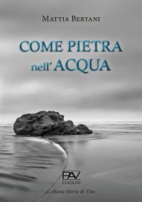 Immagine copertina libro Come pietra nell'acqua