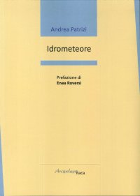 Immagine copertina libro Idrometeore