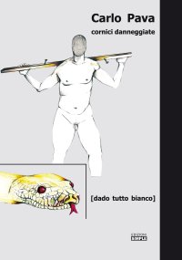 Immagine copertina libro Cornici danneggiate