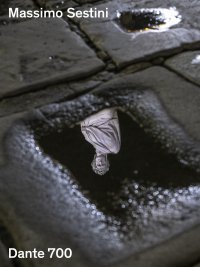 Immagine copertina libro Massimo Sestini. Dante 700