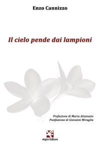 Immagine copertina libro Il cielo pende dai lampioni