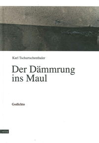 Immagine copertina libro Der Dammrung Ins Maul