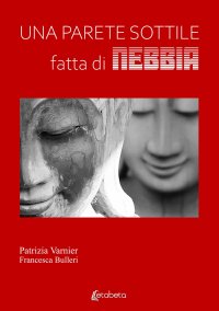 Immagine copertina libro Una parete sottile fatta di nebbia