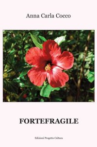 Immagine copertina libro Fortefragile