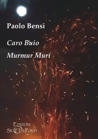 Immagine copertina libro Caro buio. Murmur Muri