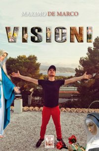 Immagine copertina libro Visioni