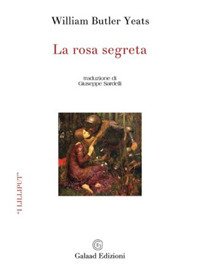 Immagine copertina libro La rosa segreta