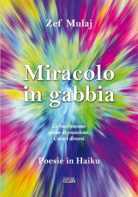 Immagine copertina libro Miracolo in gabbia. Le voci escono piene di emozioni. Colori diversi