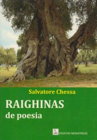 Immagine copertina libro Raighinas de poesia