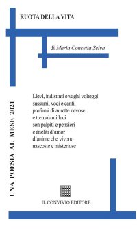 Immagine copertina libro Ruota della vita