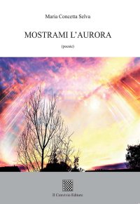 Immagine copertina libro Mostrami l'aurora