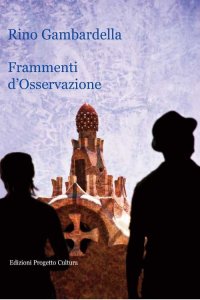 Immagine copertina libro Frammenti d'osservazione