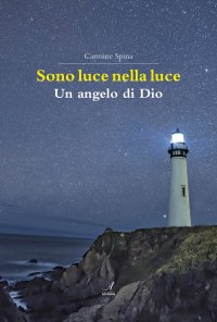 Immagine copertina libro Sono luce nella luce. Un angelo di Dio