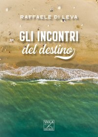 Immagine copertina libro Gli incontri del destino