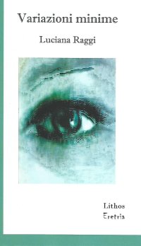 Immagine copertina libro Variazioni minime