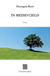 Immagine copertina libro In medio cielo
