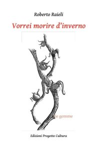 Immagine copertina libro Vorrei morire d'inverno