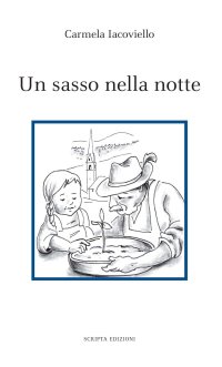 Immagine copertina libro Un sasso nella notte