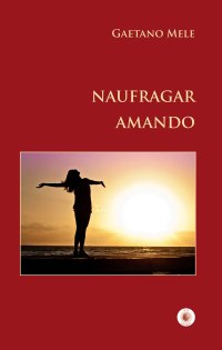 Immagine copertina libro Naufragar amando