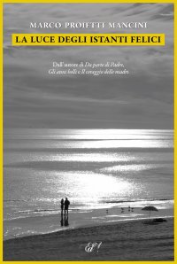 Immagine copertina libro La luce degli istanti felici