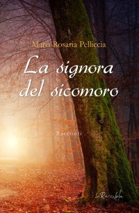 Immagine copertina libro La signora del sicomoro