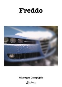 Immagine copertina libro Freddo
