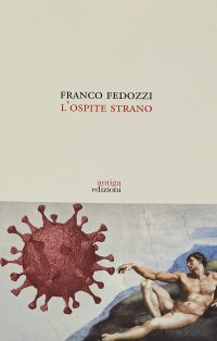 Immagine copertina libro L'ospite strano