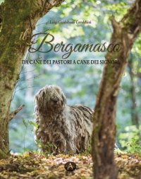 Immagine copertina libro Il bergamasco. Da cane dei pastori a cane dei signori