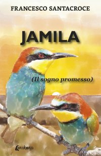 Immagine copertina libro Jamila. (Il sogno promesso)