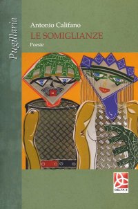 Immagine copertina libro Le somiglianze